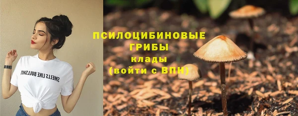 круглые Краснослободск