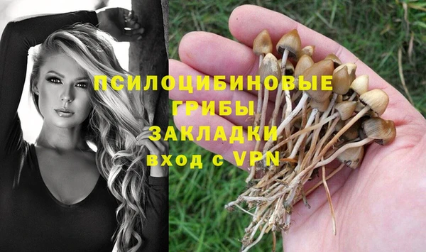 круглые Краснослободск